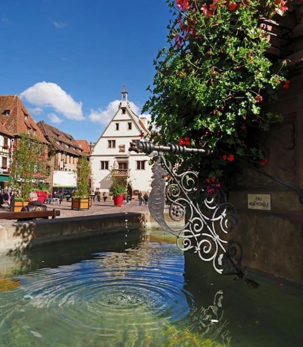 Ferienwohnung L'Appar'T - Centre Historique De Obernai Exterior foto