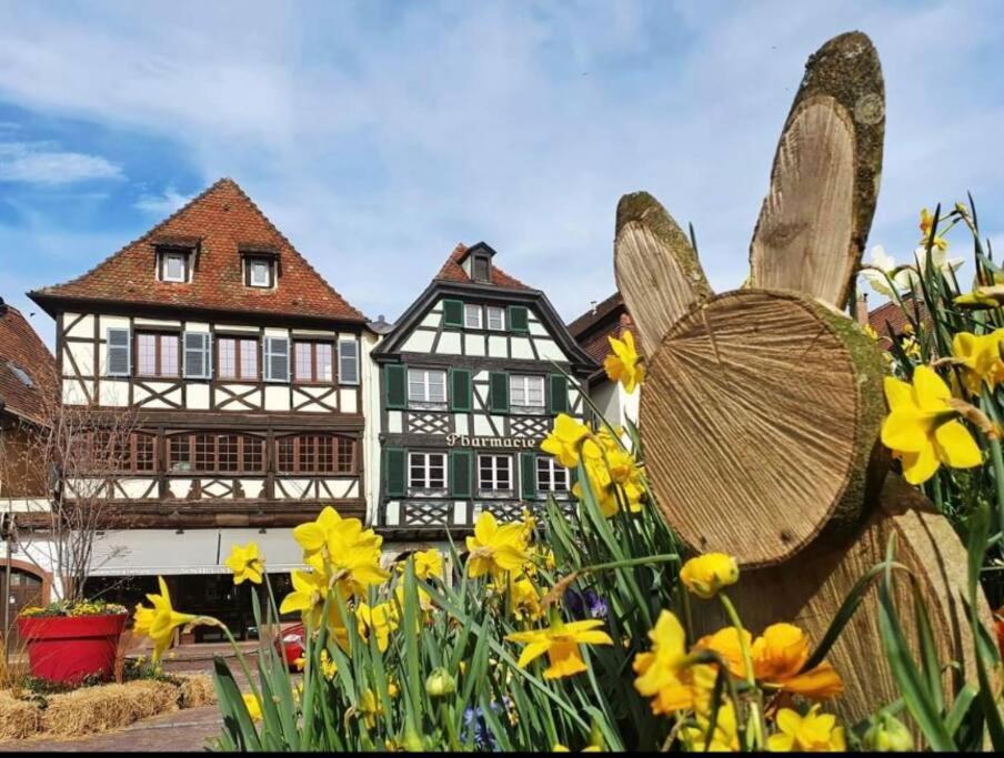 Ferienwohnung L'Appar'T - Centre Historique De Obernai Exterior foto