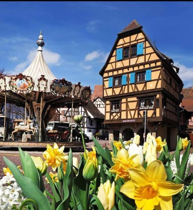 Ferienwohnung L'Appar'T - Centre Historique De Obernai Exterior foto